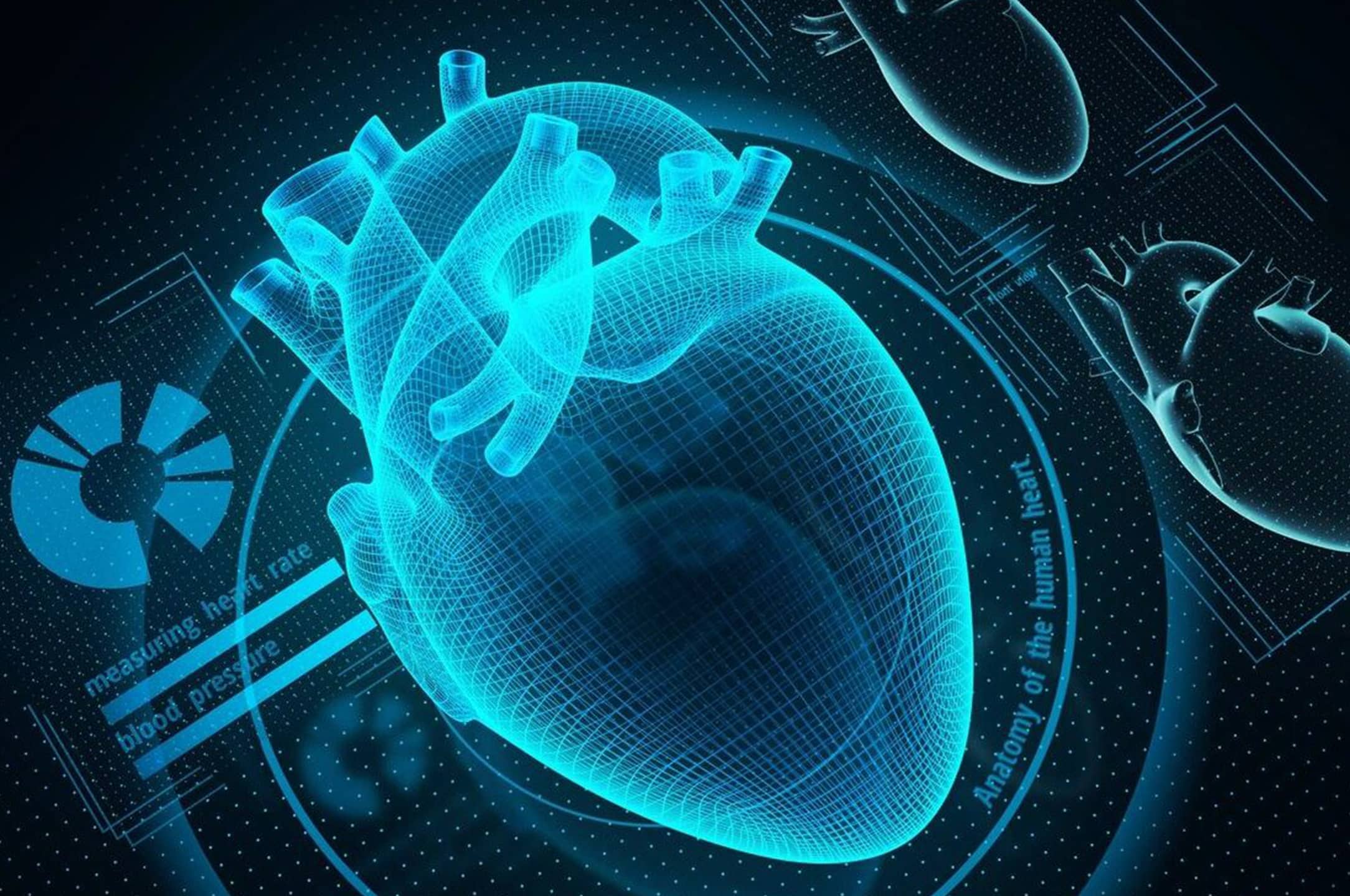 Neuro & Cardiovascular Health